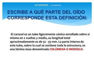 El caracol es un tubo ligeramente cónico enrollado sobre sí
mismo en 2 vueltas y media, su longitud total
aproximadamente es de 32 - 35 mm. La parte interna de
este tubo, sobre la cual se sostiene toda la estructura, es
una lámina ósea denominada COLÚMENA O MODIOLO.
ESCRIBE A QUÉ PARTE DEL OÍDO
CORRESPONDE ESTA DEFINICIÓN:
ACTIVIDADES - LOS SENTIDOS
 
