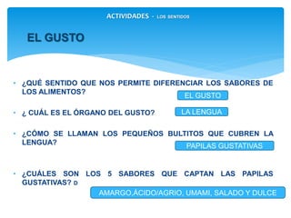 • ¿QUÉ SENTIDO QUE NOS PERMITE DIFERENCIAR LOS SABORES DE LOS
ALIMENTOS?
• ¿ CUÁL ES EL ÓRGANO DEL GUSTO?
• ¿CÓMO SE LLAMAN LOS PEQUEÑOS BULTITOS QUE CUBREN LA LENGUA?
• ¿CUÁLES SON LOS 5 SABORES QUE CAPTAN LAS PAPILAS GUSTATIVAS? D
EL GUSTO
EL GUSTO
LA LENGUA
PAPILAS GUSTATIVAS
AMARGO,ÁCIDO/AGRIO, UMAMI, SALADO Y DULCE
ACTIVIDADES - LOS SENTIDOS
 