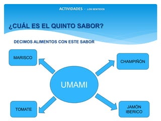 ACTIVIDADES - LOS SENTIDOS
¿CUÁL ES EL QUINTO SABOR?
DECIMOS ALIMENTOS CON ESTE SABOR
UMAMI
JAMÓN
IBERICO
MARISCO
TOMATE
CHAMPIÑÓN
 