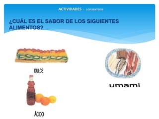 ¿CUÁL ES EL SABOR DE LOS SIGUIENTES ALIMENTOS?
ACTIVIDADES - LOS SENTIDOS
 