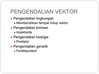 PENGENDALIAN VEKTOR
● Pengendalian lingkungan
● Membersihkan tempat hidup vektor
● Pengendalian kimiawi
● Insektisida
● Pengendalian biologis
● Predator
● Pengendalian genetik
● Fertilitas/steril
 