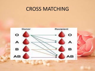Ppt blood transfusion | PPTX