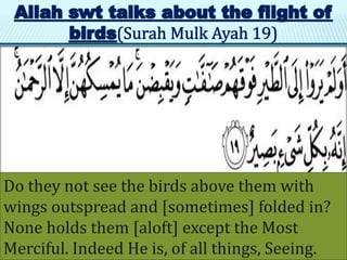Do they not see the birds above them with
wings outspread and [sometimes] folded in?
None holds them [aloft] except the Most
Merciful. Indeed He is, of all things, Seeing.
 