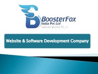 Website & Software Development Company
 