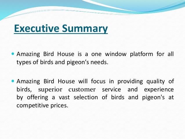 Birds business picture