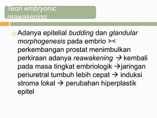  Adanya epitelial budding dan glandular
morphogenesis pada embrio ><
perkembangan prostat menimbulkan
perkiraan adanya reawakening  kembali
pada masa tingkat embriologik jaringan
periuretral tumbuh lebih cepat  induksi
stroma lokal  perubahan hiperplastik
epitel
Teori embryonic
reawakening
 