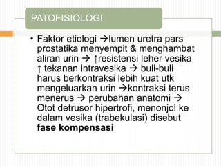 • Faktor etiologi lumen uretra pars
prostatika menyempit & menghambat
aliran urin  ↑resistensi leher vesika
↑ tekanan intravesika  buli-buli
harus berkontraksi lebih kuat utk
mengeluarkan urin kontraksi terus
menerus  perubahan anatomi 
Otot detrusor hipertrofi, menonjol ke
dalam vesika (trabekulasi) disebut
fase kompensasi
PATOFISIOLOGI
 