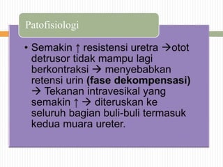 Patofisiologi
 