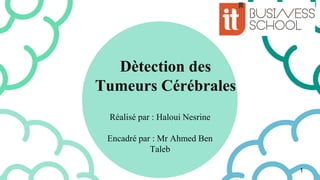Dètection des
Tumeurs Cérébrales
Réalisé par : Haloui Nesrine
Encadré par : Mr Ahmed Ben
Taleb
1
 