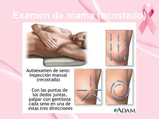 Examen de mama (acostado)
 