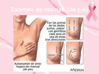 Examen de mamas (de pie)
 