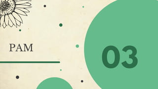 PAM
 