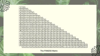 The PAM250 Matrix
 