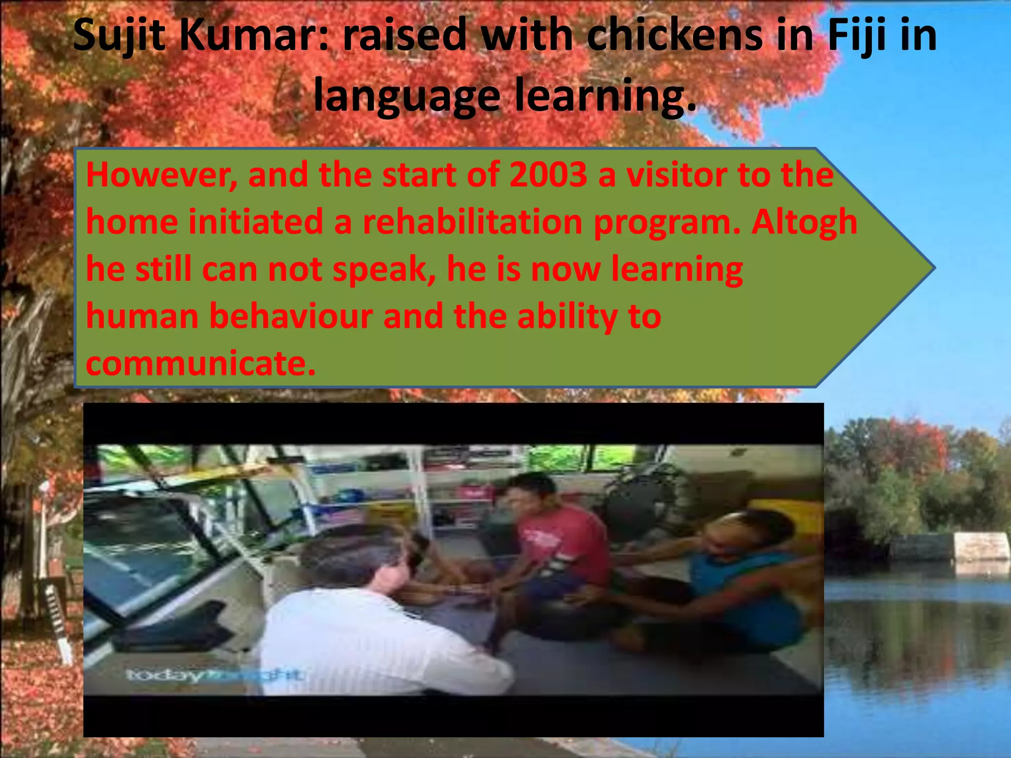Sujit Kumar: raised with chickens in Fiji in
language learning.
However, and the start of 2003 a visitor to the
home initiated a rehabilitation program. Altogh
he still can not speak, he is now learning
human behaviour and the ability to
communicate.
 