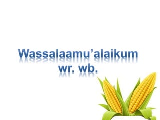 PPT_Budidaya_jagung (1).pptx