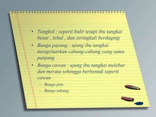 • Tongkol : seperti bulir tetapi ibu tangkai
besar , tebal , dan seringkali berdaging
• Bunga payung : ujung ibu tangkai
mengeluarkan cabang-cabang yang sama
panjang
• Bunga cawan : ujung ibu tangkai melebar
dan merata sehingga berbentuk seperti
cawan
– Bunga pita
– Bunga tabung
 