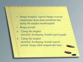 • Bunga bongkol: seperti bunga vcawan
tetapitanpa daun-daun pembalut dan
ujung ibu tangkai membengkak
• Bunga periuk:
a. Ujung ibu tangkai
menebal, berdaging, bentuk seperti gada
b. Ujung ibu tangkai
menebal, berdaging, bentuk seperti
periuk, bunga tidak tampak dari luar
 