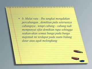• b. Malai rata : Ibu tangkai mengdakan
percabangan , demikian pula seterusnya
cabangnya , tetapi cabang - cabang tadi
mempunyai sifat demikian rupa sehingga
seakan-akan semua bunga pada bunga
majemuk ini terdapat pada suatu bidang
datar atau agak melengkung
 