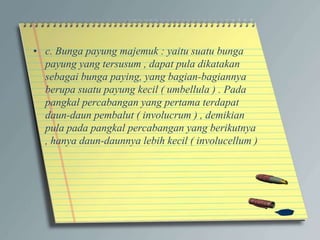 • c. Bunga payung majemuk : yaitu suatu bunga
payung yang tersusum , dapat pula dikatakan
sebagai bunga paying, yang bagian-bagiannya
berupa suatu payung kecil ( umbellula ) . Pada
pangkal percabangan yang pertama terdapat
daun-daun pembalut ( involucrum ) , demikian
pula pada pangkal percabangan yang berikutnya
, hanya daun-daunnya lebih kecil ( involucellum )
 