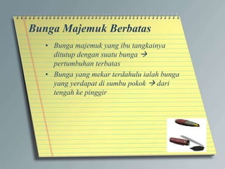 Bunga Majemuk Berbatas
• Bunga majemuk yang ibu tangkainya
ditutup dengan suatu bunga 
pertumbuhan terbatas
• Bunga yang mekar terdahulu ialah bunga
yang yerdapat di sumbu pokok  dari
tengah ke pinggir
 