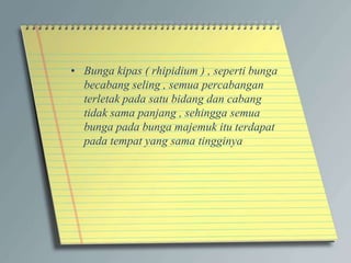 • Bunga kipas ( rhipidium ) , seperti bunga
becabang seling , semua percabangan
terletak pada satu bidang dan cabang
tidak sama panjang , sehingga semua
bunga pada bunga majemuk itu terdapat
pada tempat yang sama tingginya
 