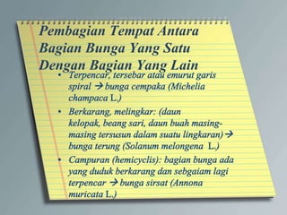 Pembagian Tempat Antara
Bagian Bunga Yang Satu
Dengan Bagian Yang Lain
 