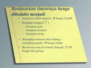 Berdasarkan simetrinya bunga
dibedakn menjadi
• Asimetris/ tidak simetris  bunga Tasbih
• Stangkup tunggal ( )
– Setangkup tegak
– Setangkup mendatar
– Setangkup miring
• Setangkup menurut dua bidang /
setangkup ganda  bunga lobak
• Beraturan atau bersimetri banyak (*)
bunga lilia gereja
 