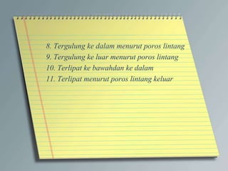 8. Tergulung ke dalam menurut poros lintang
9. Tergulung ke luar menurut poros lintang
10. Terlipat ke bawahdan ke dalam
11. Terlipat menurut poros lintang keluar
 