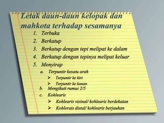 Letak daun-daun kelopak dan
mahkota terhadap sesamanya
 