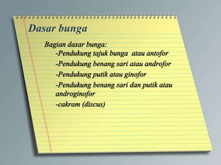 Dasar bunga
 