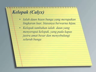Kelopak (Calyx)
• Ialah daun hiasn bunga yang merupakan
lingkaran luar, biasanya berwarna hijau.
• Kelopak tambahan ialah daun yang
menyerupai kelopak, yang pada kapas
justru amat besar dan menyebulungi
seluruh bunga
 