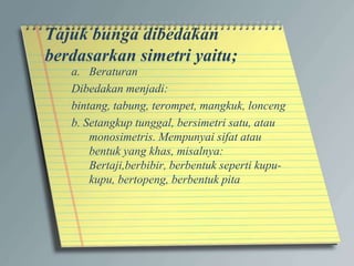 Tajuk bunga dibedakan
berdasarkan simetri yaitu;
a. Beraturan
Dibedakan menjadi:
bintang, tabung, terompet, mangkuk, lonceng
b. Setangkup tunggal, bersimetri satu, atau
monosimetris. Mempunyai sifat atau
bentuk yang khas, misalnya:
Bertaji,berbibir, berbentuk seperti kupu-
kupu, bertopeng, berbentuk pita
 