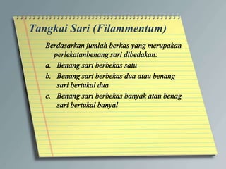Tangkai Sari (Filammentum)
 