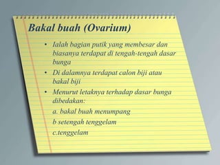Bakal buah (Ovarium)
• Ialah bagian putik yang membesar dan
biasanya terdapat di tengah-tengah dasar
bunga
• Di dalamnya terdapat calon biji atau
bakal biji
• Menurut letaknya terhadap dasar bunga
dibedakan:
a. bakal buah menumpang
b setengah tenggelam
c.tenggelam
 