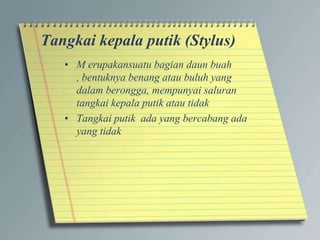 Tangkai kepala putik (Stylus)
• M erupakansuatu bagian daun buah
, bentuknya benang atau buluh yang
dalam berongga, mempunyai saluran
tangkai kepala putik atau tidak
• Tangkai putik ada yang bercabang ada
yang tidak
 