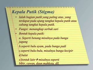 Kepala Putik (Stigma)
 