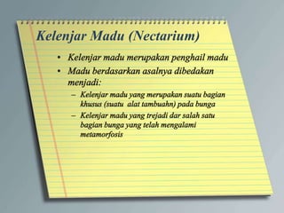 Kelenjar Madu (Nectarium)
 