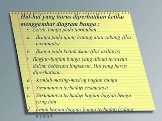 Hal-hal yang harus diperhatikan ketika
menggambar diagram bunga :
• Letak bunga pada tumbuhan
a. Bunga pada ujung batang atau cabang (flos
terminalis)
b. Bunga pada ketiak daun (flos axillaris)
• Bagian-bagian bunga yang dibuat tersusun
dalam beberapa lingkaran. Hal yang harus
diperhatikan :
a. Jumlah masing-masing bagian bunga
b. Susunannya terhadap sesamanya
c. Susunannya terhadap bagian-bagian bunga
yang lain
d. Letak bagian-bagian bunga terhadap bidang
median
 