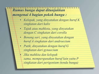 Rumus bunga dapat ditunjukkan
mengenai 4 bagian pokok bunga :
• Kelopak, yang dinyatakan dengan huruf K
singkatan dari kalix
• Tajuk atau mahkota, yang dinyatakan
dengan C singkatan dari corolla
• Benang sari, yang dinyatakan dengan
huruf A singkatan dari androecium
• Putik, dinyatakan dengan huruf G
singkatan dari gynaecium
• Jika mahkita dan kelopak
sama, mempergunakan huruf lain yaitu P
singkatan dari perigonium (tenda bunga)
 