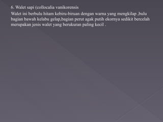 Walet Sapi Burung Walet oleh kelompok mahasiswa 1.pptx
