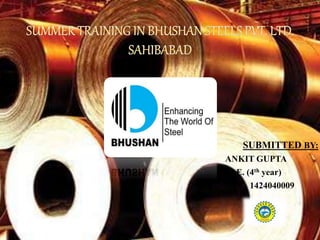 Power Point Presentation on training in bhushan steel private ltd | PPTX