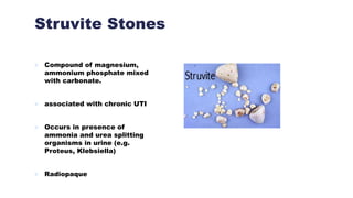 Struvite Stones
 Compound of magnesium,
ammonium phosphate mixed
with carbonate.
 associated with chronic UTI
 Occurs in presence of
ammonia and urea splitting
organisms in urine (e.g.
Proteus, Klebsiella)
 Radiopaque
 