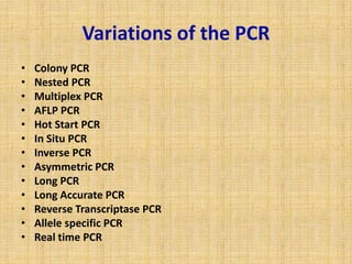 identification of bacteria | PPTX