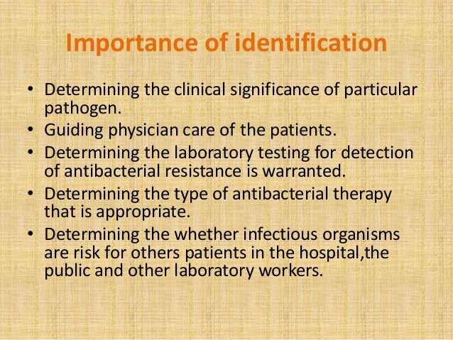 identification of bacteria