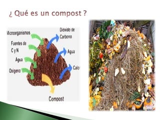 Ppt cadena alimentaria