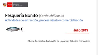 Pesquería Bonito (Sarda chiliensis)
Actividades de extracción, procesamiento y comercialización
Julio 2019
Oficina General de Evaluación de Impacto y Estudios Económicos
 