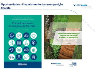 Oportunidades - Financiamento da recomposição
florestal
 