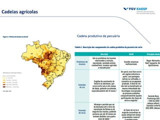 Cadeias agrícolas
Cadeia produtiva da pecuária
 