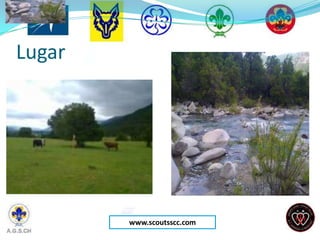 Lugar




        www.scoutsscc.com
 