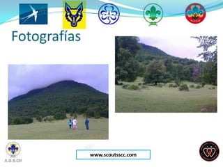Fotografías




              www.scoutsscc.com
 